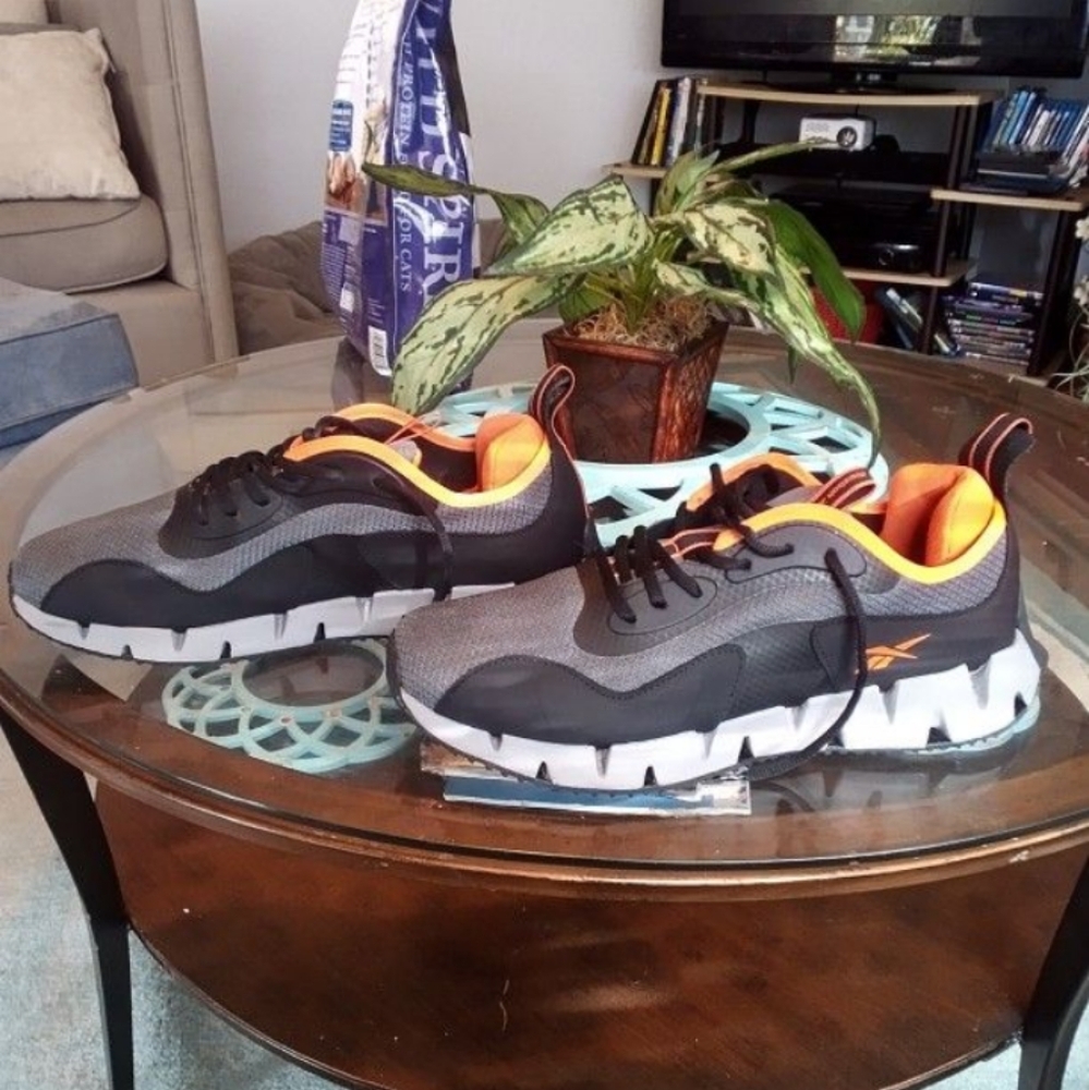 Men's Reebok Zig Dynamica Shoe